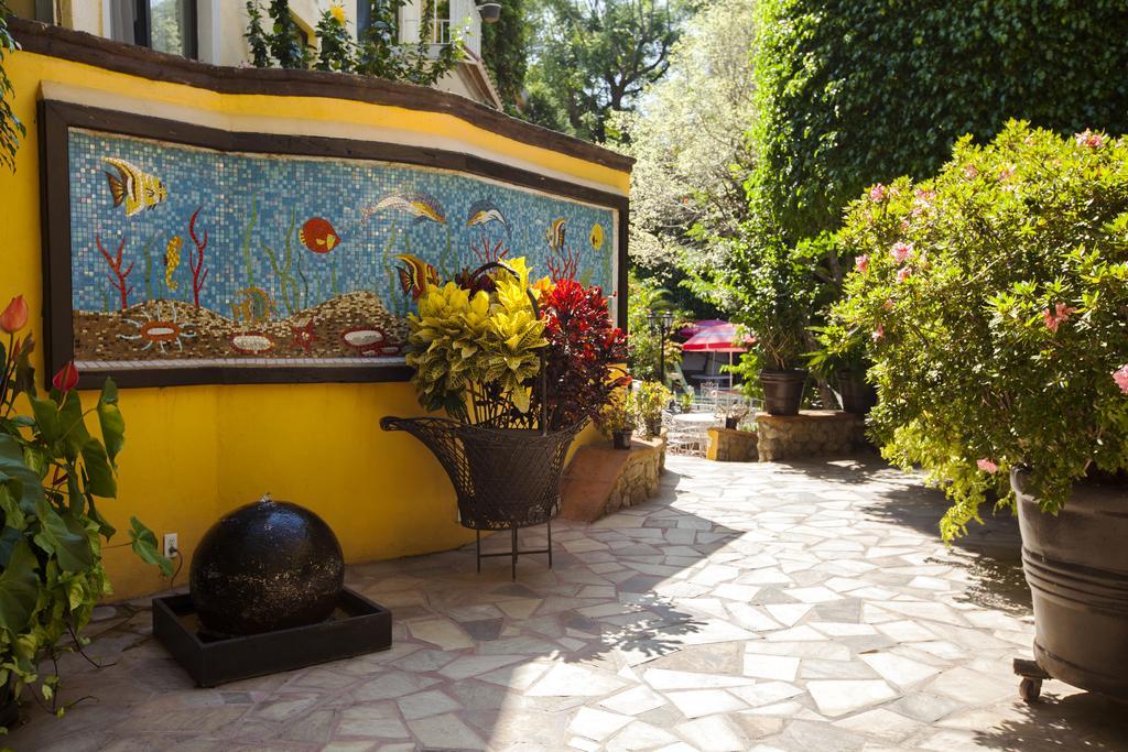 Quinta Del Gobernador Hotel Cuernavaca Eksteriør billede