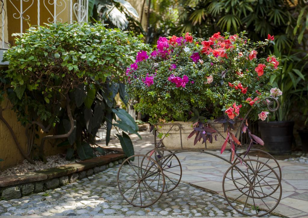 Quinta Del Gobernador Hotel Cuernavaca Eksteriør billede