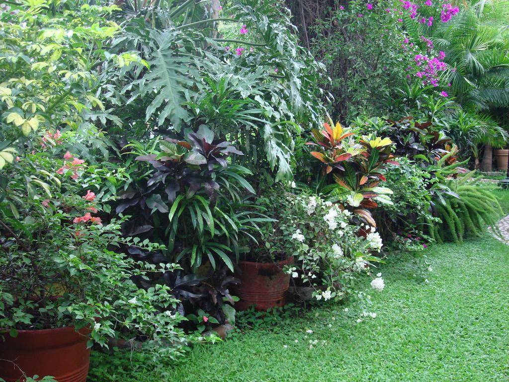 Quinta Del Gobernador Hotel Cuernavaca Eksteriør billede